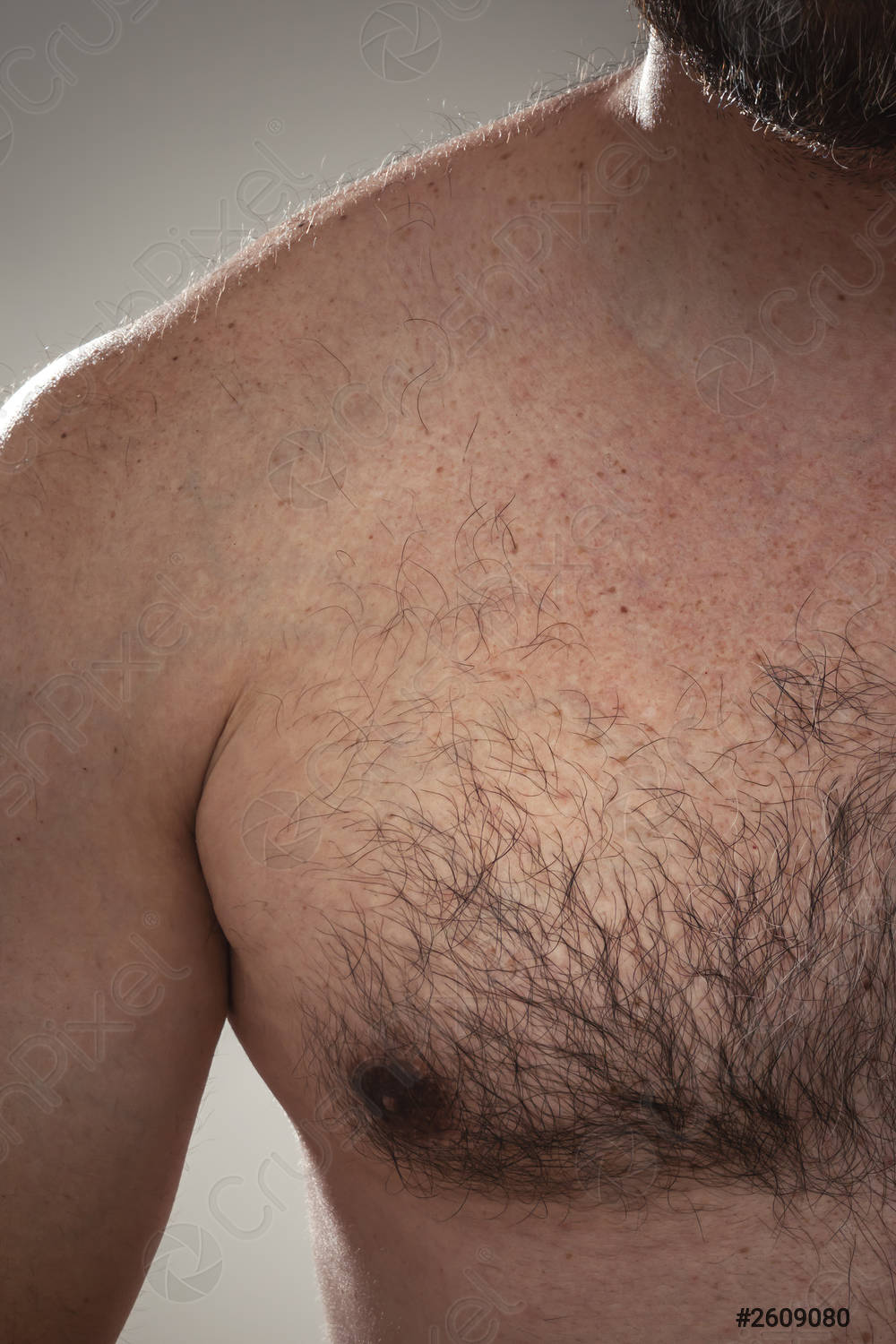 males-hairy-chest-detail-2609080