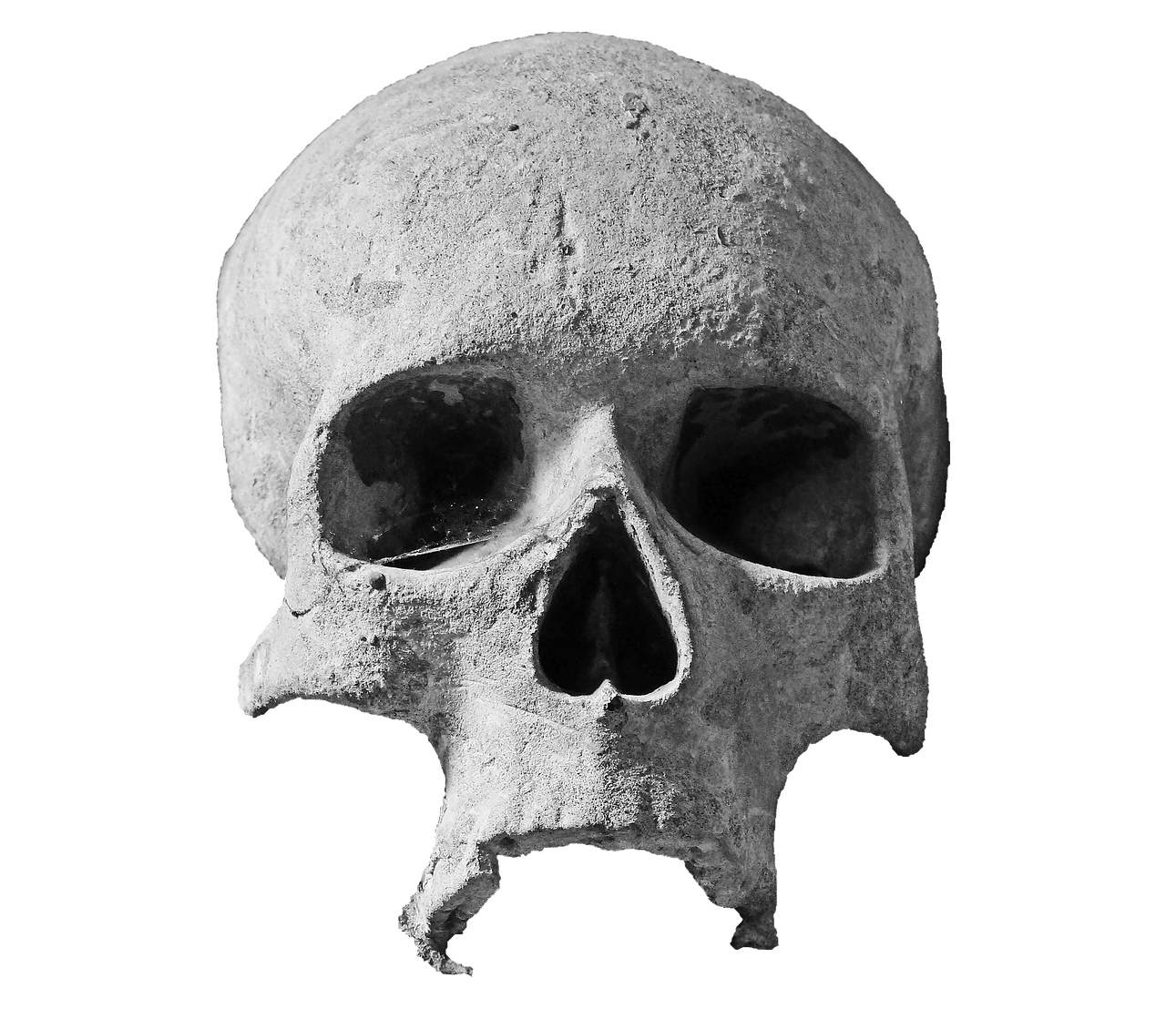 skull-2636836_1280